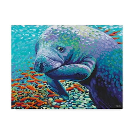 Trademark Fine Art Carolee Vitaletti 'Sea Sweetheart Ii' Canvas Art, 35x47 WAG03403-C3547GG